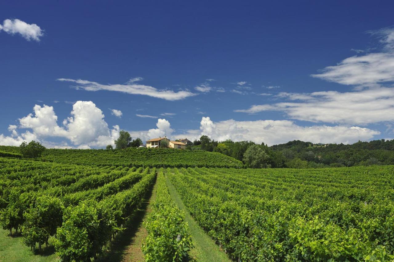 Agriturismo Moro Barel Vittorio Veneto Εξωτερικό φωτογραφία
